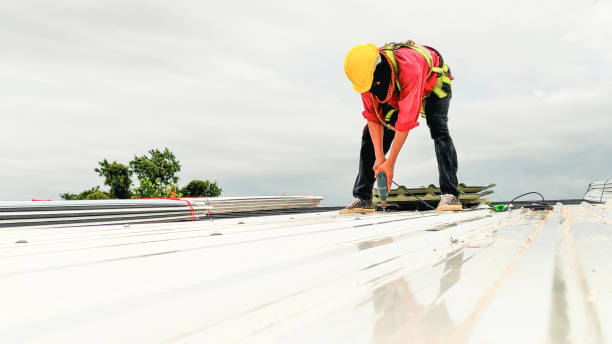 Best Sheet Metal Roofing  in Lansford, PA